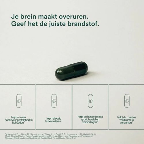 Insentials NRM+3 (Mental Boost)