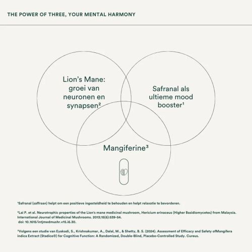 Insentials NRM+3 (Mental Boost)