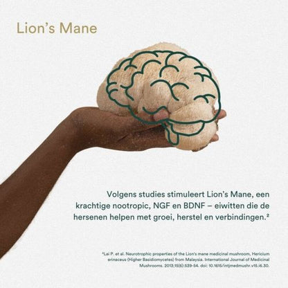 Insentials NRM+3 (Mental Boost)