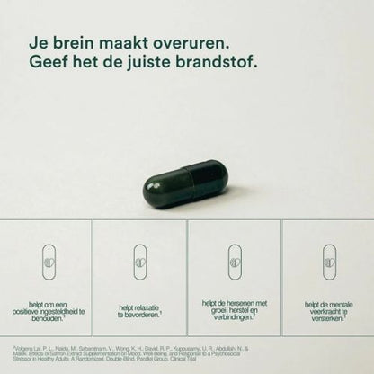 Insentials NRM+3 (Mental Boost)